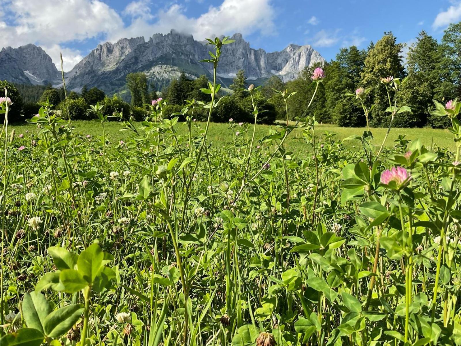 Chalet Belle Kitz By Belle Stay キッツビュール エクステリア 写真